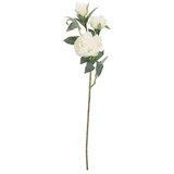  PEONIJA 90CM PVC EVALYN BIZZOTTO Cijene