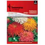  Cinija kaktusna mix (070601) | ePonuda.com