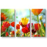  Slike na platnu cveće (moderne slike na platnu) | ePonuda.com