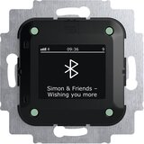 Busch-Jaeger Radio-réveil DAB+ z Bluetooth povezavo, (5000558617) | Shoptok.si