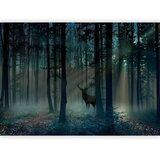  Foto tapeta - Mystical Forest - Third Variant 147x105 Samoljepljiva | shoptok.hr