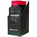 BioTech USA BioTechUSA Recovery Gel 40g – Gel za Oporavak Nakon Treninga Cene