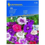 KIEPENKERL Sjeme cvijeća Karanfil Mix (Dianthus chinesis, Raznobojno) | shoptok.hr