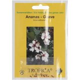 TROPICA Ananas guava Cene