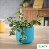  TEGLA KERAMIČKA ZA CVIJET COSY LEITZ 53310061 PLAVA-EOL!! | Shoptok.si