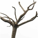 Aquadeco drift wood drvo za akvarijum 1kg Cene