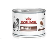 Royal Canin hrana za pse i mačke recovery 195g Cene