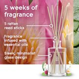 Glade Relaxing Zen difuzer 50 ml | shoptok.hr