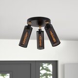 Opviq Amasra N 987 Crno - Zlatni luster Cene