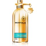 Montale Day Dreams parfumska voda uniseks 50 ml Cene