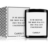 Candly & Co. In my defense dišeča sveča 250 g | Shoptok.si