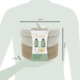 Baylis & Harding Wellness. Energise darilni set Ginger, Lime & Basil Leaf | Shoptok.si