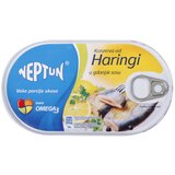 Nepoznato NEPTUN haringa u ulju 170g | ePonuda.com