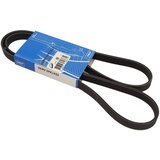 Shumee VEČPLETNI PAS 5PK1432, (21396296) | Shoptok.si
