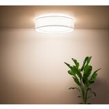  plafonsko svetlo puro 2xE27/40W/230V prečnik 50 cm belo | Eponuda.com