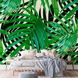  Foto tapeta - Tropical Leaves 200x140 | shoptok.hr