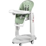 Peg-Perego Pe Perego hranilica za bebe Tatamia Follow Me Sage, 0m+ Cene