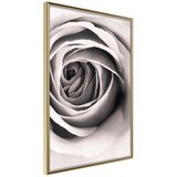  Poster - Structure of Petals 40x60 | shoptok.hr