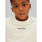 Calvin Klein Jeans Majica kamen / črna | Shoptok.si