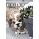 S-Line Beležka s trdimi platnicami A6 črte Cene