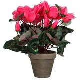  Umjetni cvijet Ciklama (Visina: 30 cm, Roze boje, Plastika) u