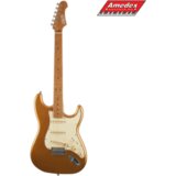  GITARA EL. JET JS300 GD SSS cijene