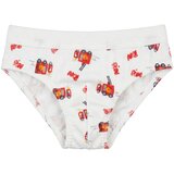 Petit Bateau SLIPS X 3 Višebojna | shoptok.hr