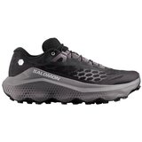Salomon Nizke superge 491412 Siva Cene