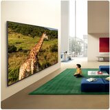 LG 86QNED87B6A 4K QNED evo TV 217 cm 4K (86")86QNED87B6A QNED evo TV 217 cm (86") | Shoptok.si