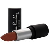 Pierre Cardin Paris Cosmetics pierre cardin mat chiffon touch ruž za usne aurora | ePonuda.com