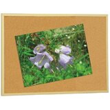Faibo pluto ploča Economic s drvenim okvirom 60 x 120 cm 607-4 | shoptok.hr