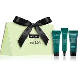 Beauty Discovery Bag Exclusive Notino × Aveda darilni set za ženske Cene