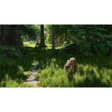 Fireshine Games PS5 Planet Zoo 2 | Eponuda.com