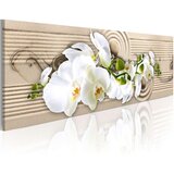  Slika - Desert Flower 150x50 Cijene