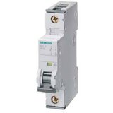 Siemens Dig.Industr. LS stikalo 5SY6106-7, (20890278) Cene