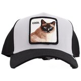 Goorin Bros Kape s šiltom COOL CAT Črna Cene
