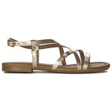 Maciejka 0663525000 Gold | shoptok.hr
