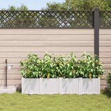 Vrtna saksija 4 pcs Bijeli 160 x 40 x 37,5 cm Plastika | shoptok.hr