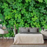  Tapeta - Green Clover 300x210 Cijene