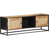 vidaXL TV omarica 120x30x40 cm robusten mangov les in naravni trst, (20914798) Cene