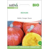 Sativa Bio buča "Red Kuri" Cene