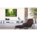  Slika - Magical Rose 120x80 | shoptok.hr