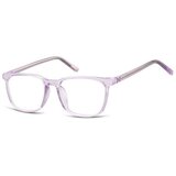 Berkley Berkeley naočare za kompjuter CP124D