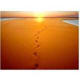  Tapeta - Footprints in the sand 250x193 | shoptok.hr