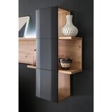 Livetastic DNEVNI REGAL, antracit, prozorno, barve hrasta | Shoptok.si