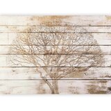  Foto tapeta - Tree on Boards 300x210 | shoptok.hr
