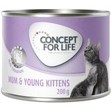 Concept for Life Mum & Young Kittens Mousse - 24 x 200 g | shoptok.hr