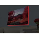 Wallity Zidna slika sa LED osvetljenjem 4570HDACT-065, 45x70 cm | Eponuda.ba
