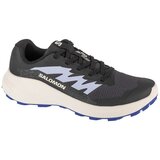 Salomon Tekaški čevlji Alphaglide L47801800 Siva Cene