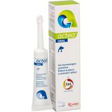 Candioli actea Oral Zaštitini Gel 15 ml | ePonuda.com